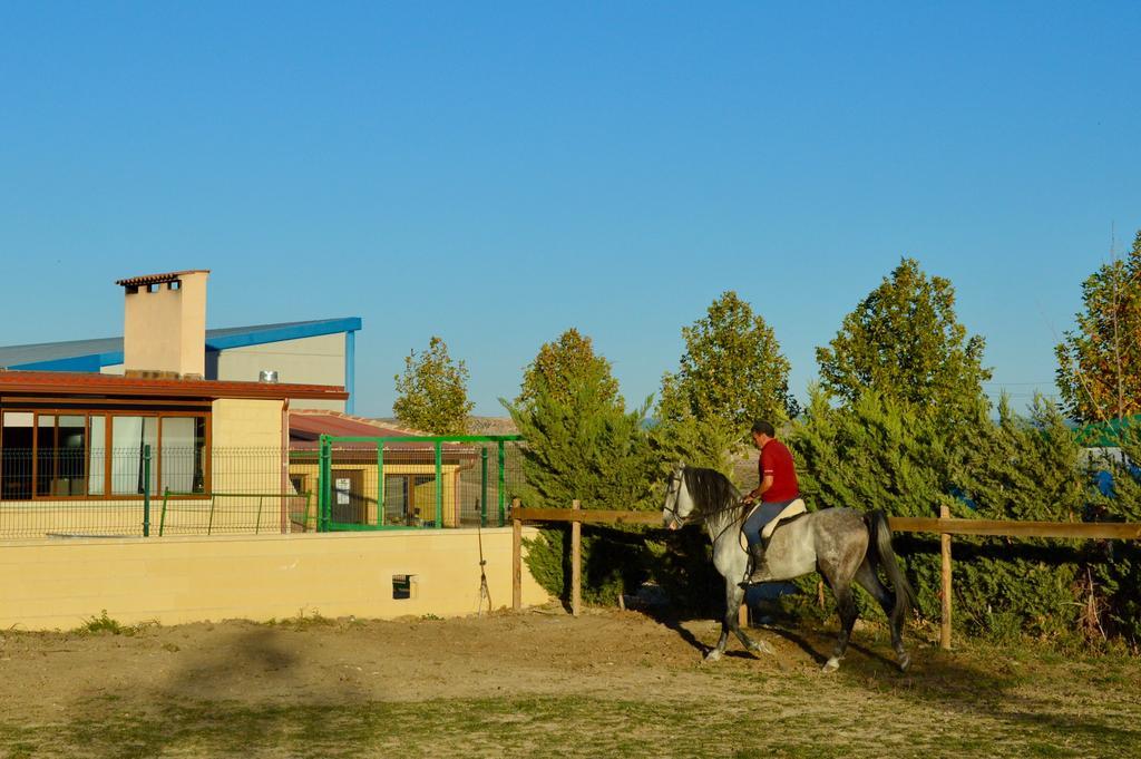 Rural Reillo Alojamientos Rurales Exterior foto